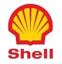 Shell Logo 1995 1999s