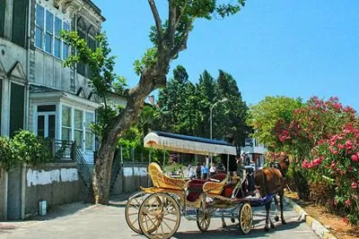 Princess Islands Horse Carriage