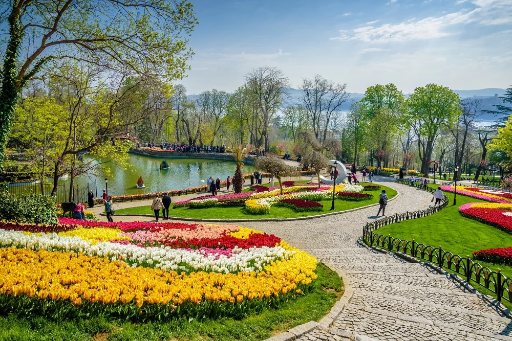 Istanbul Tulip Festival