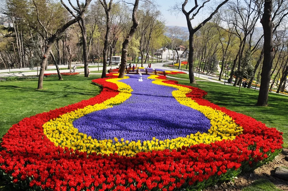 Tulip Festival 2022 Tulip Festival 2022