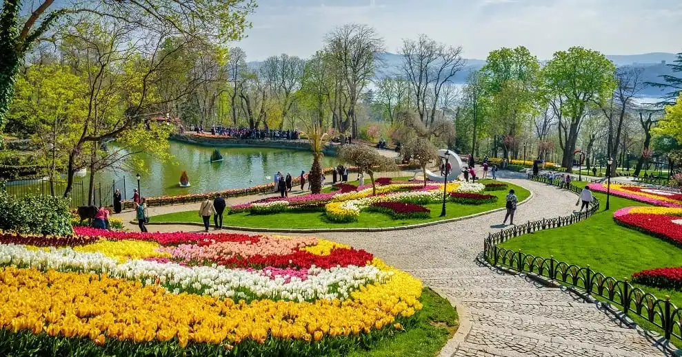 istanbul tulip festival park spring Tulip displays in a public park during the Istanbul Tulip Festival in spring